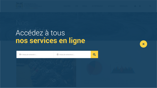 barre de recherche site web mpmepe